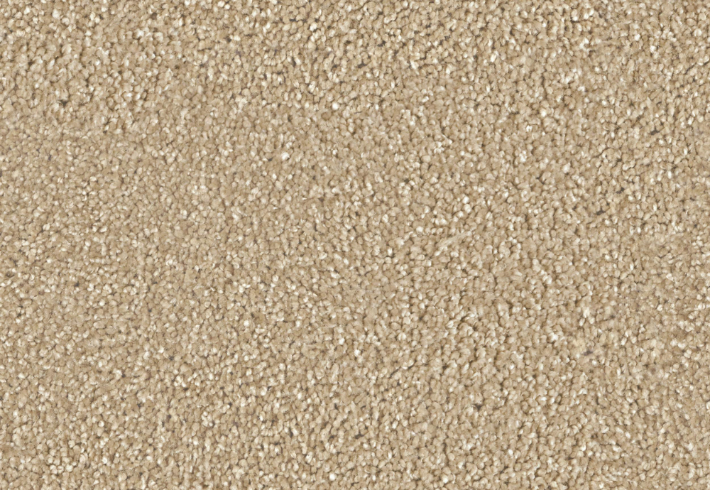 Saxony Carpet — Architextures